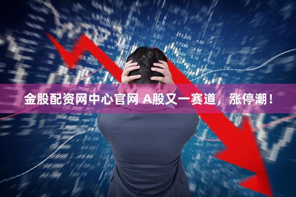 金股配资网中心官网 A股又一赛道，涨停潮！