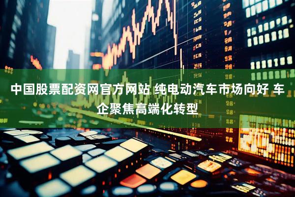 中国股票配资网官方网站 纯电动汽车市场向好 车企聚焦高端化转型
