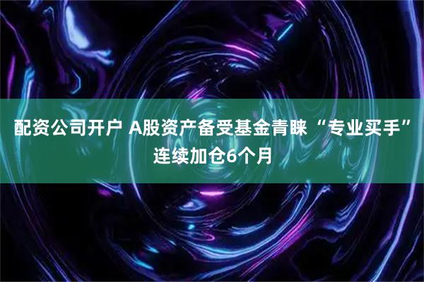 配资公司开户 A股资产备受基金青睐 “专业买手”连续加仓6个月